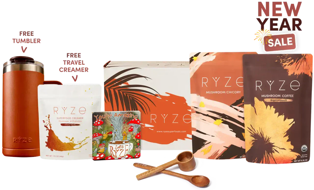 Lasting Energy Bundle 05 55 e3